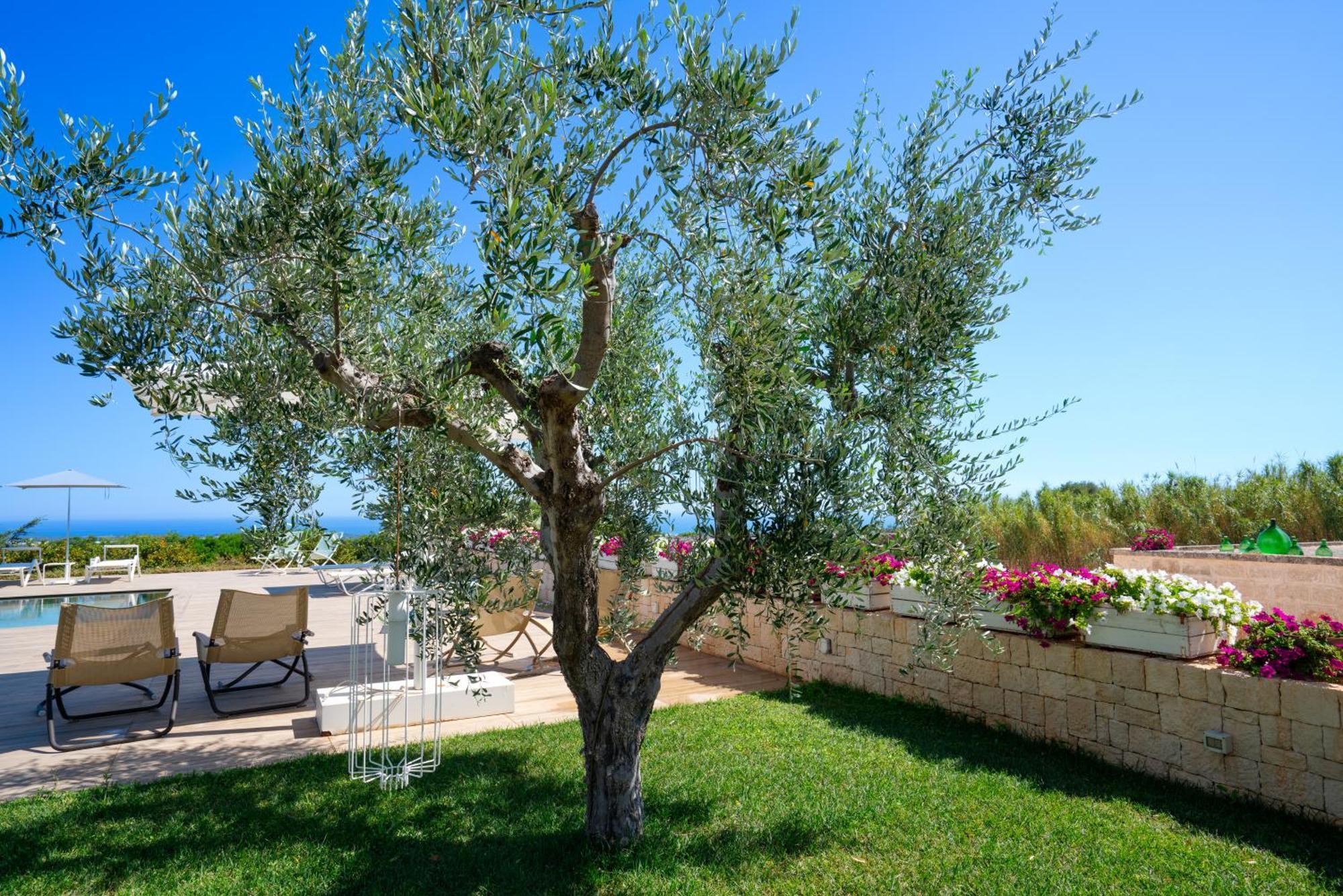 Montegrottone Nature Retreat Aparthotel